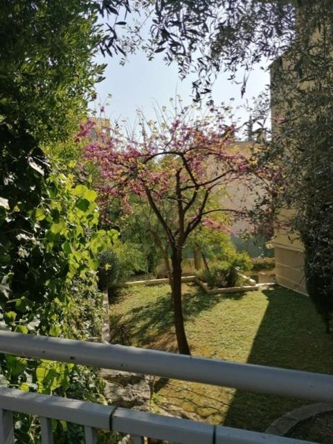 Villa Soraya , Quiet Location With Big Garden Near Beach And Old Town Of ニース エクステリア 写真