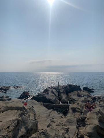 Villa Soraya , Quiet Location With Big Garden Near Beach And Old Town Of ニース エクステリア 写真