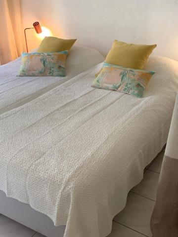 Villa Soraya , Quiet Location With Big Garden Near Beach And Old Town Of ニース エクステリア 写真